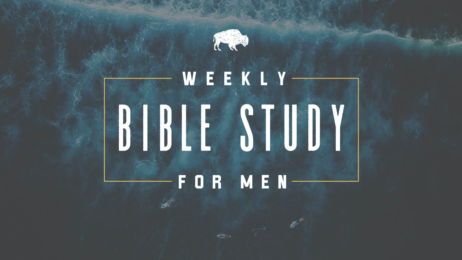 bible study book for men