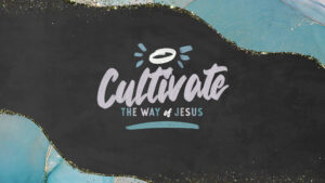 Cultivate The Way of Jesus